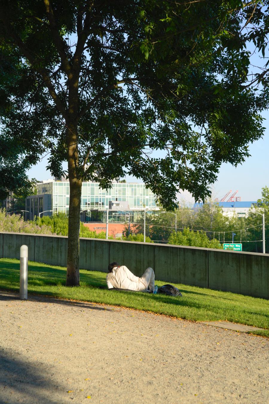 Preview Image for Sculpture Park.