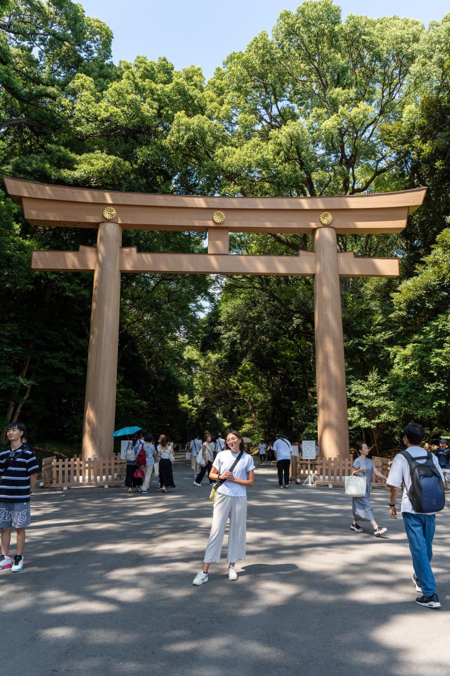 Preview Image for Arrival in Toyko.