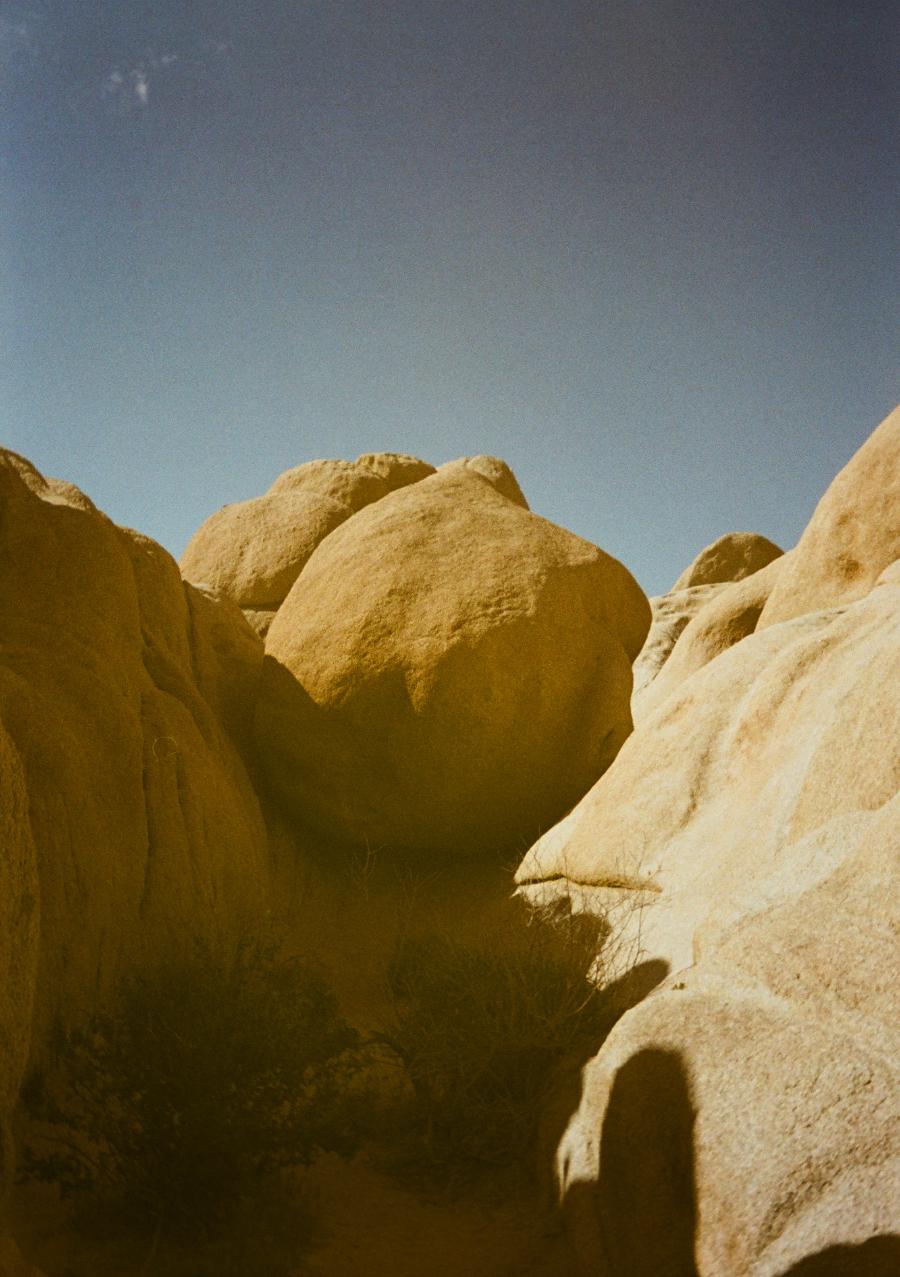 Preview Image for Joshua Tree Wedding.