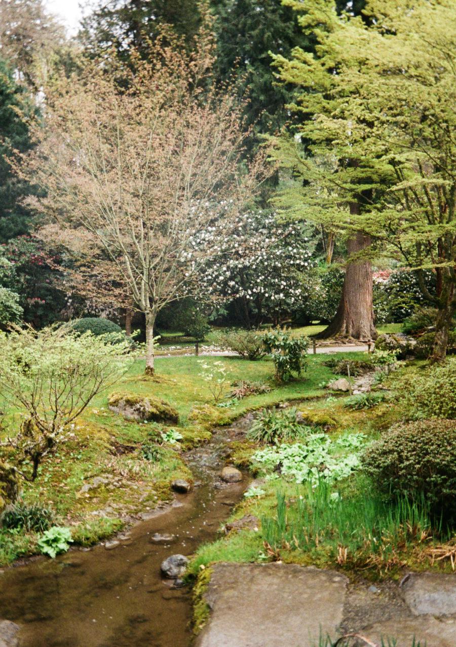 Preview Image for Seattle Japanese Garden.