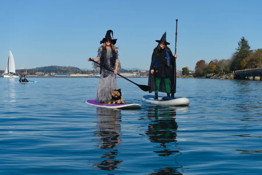 Preview Image for Witches on the Water.