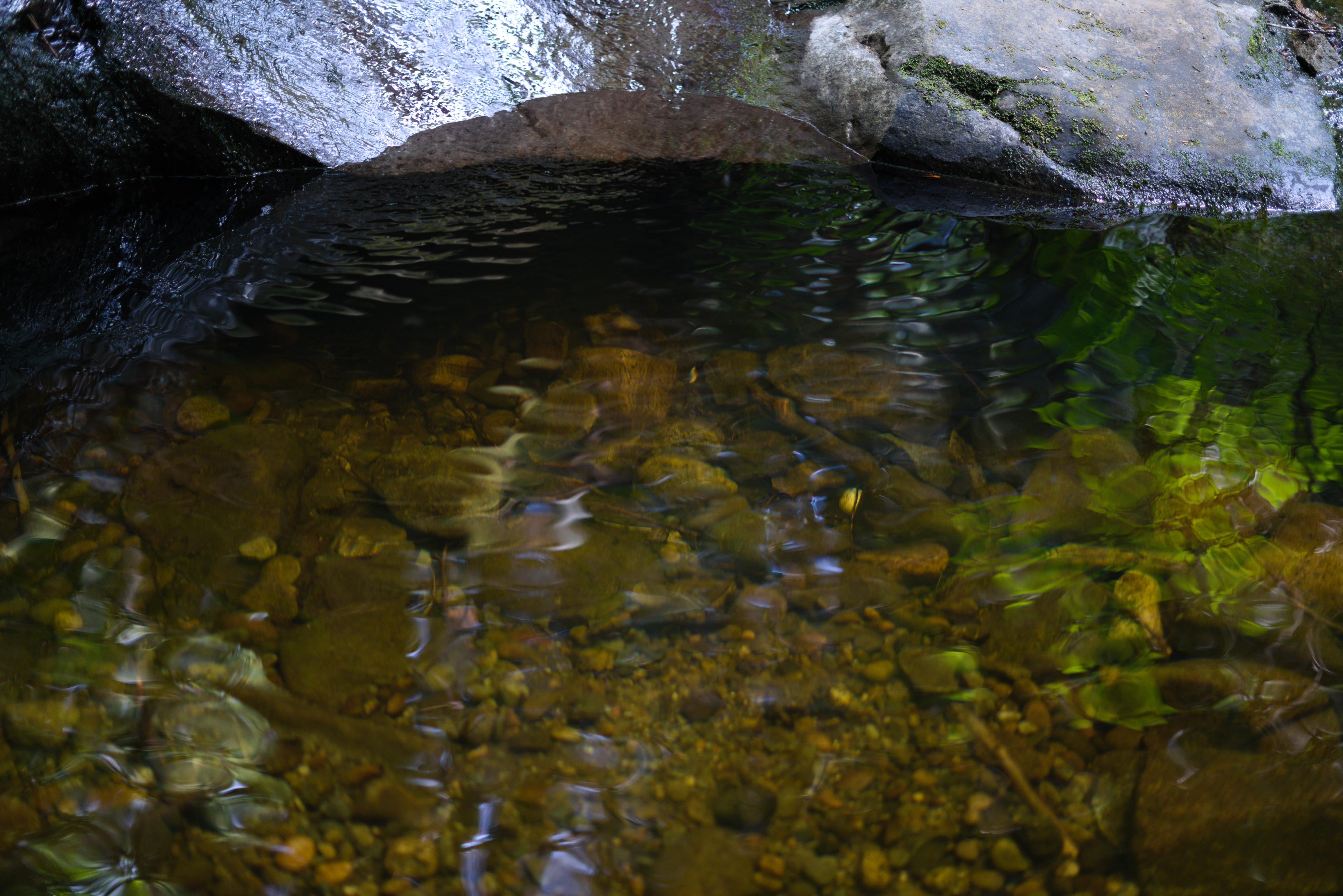 shimmers on the water from a small trickle in a brook