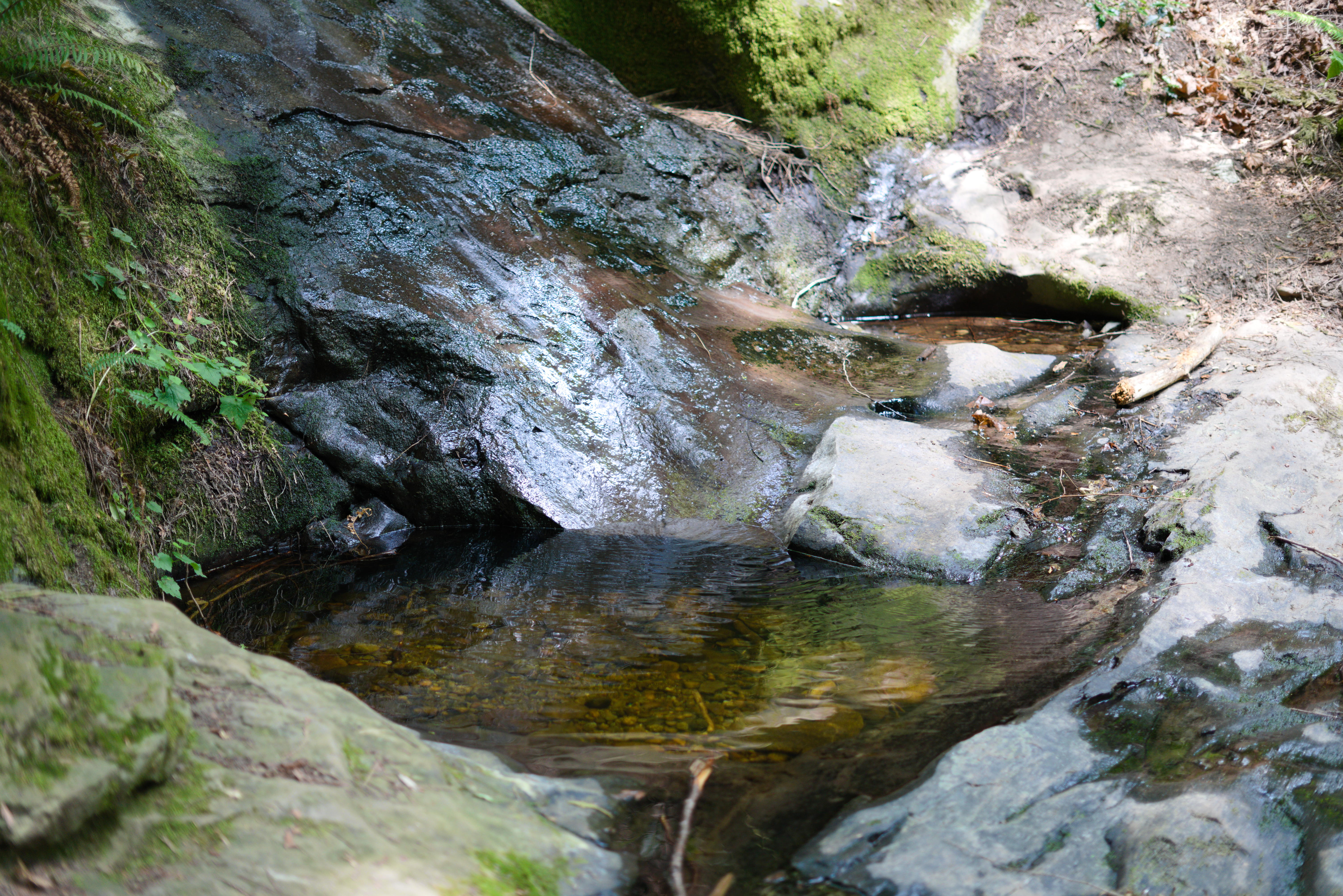 a small pond formed in the stream